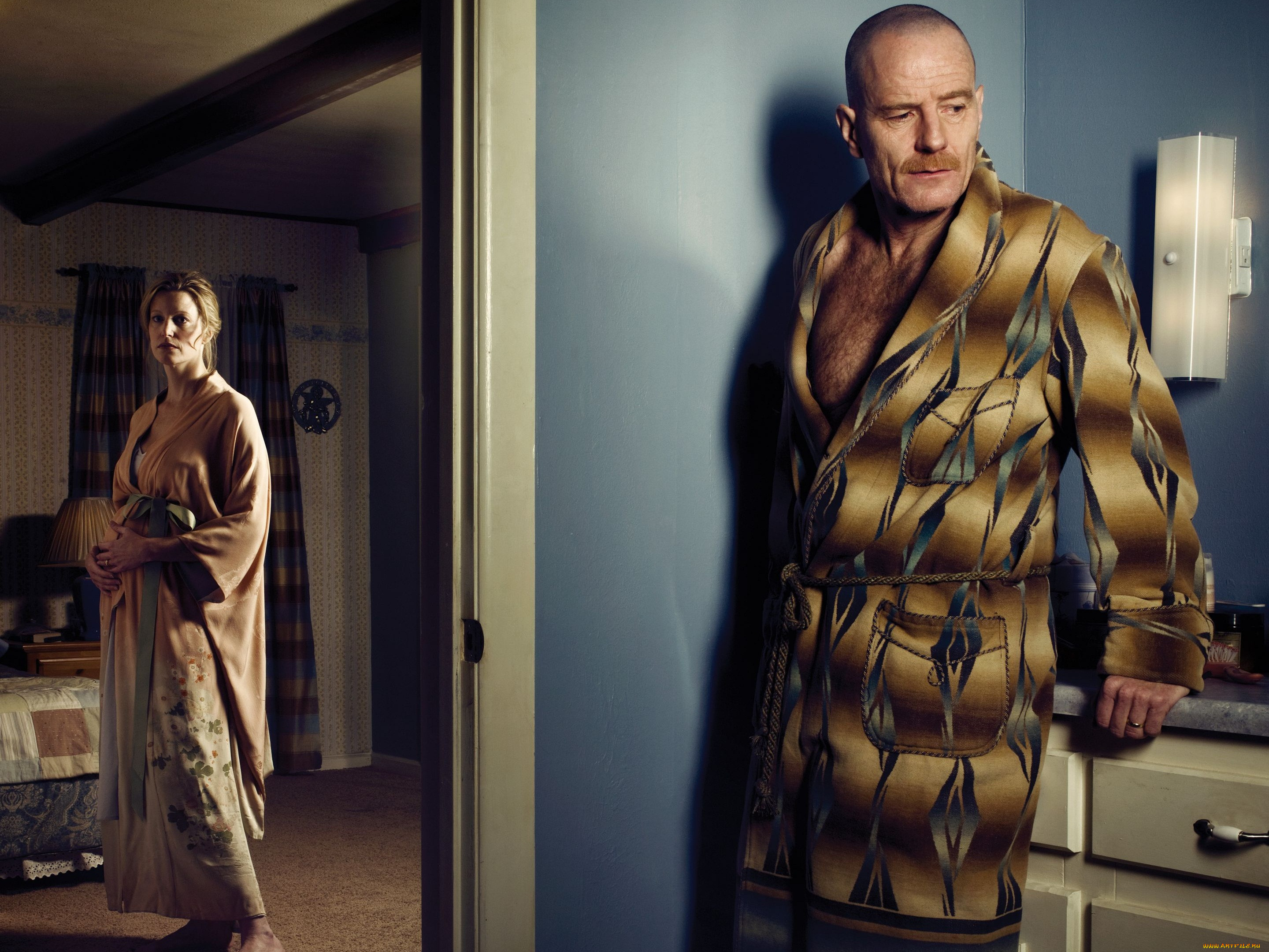 breaking, bad, , , anna, gunn, skyler, white, walter, bryan, cranston